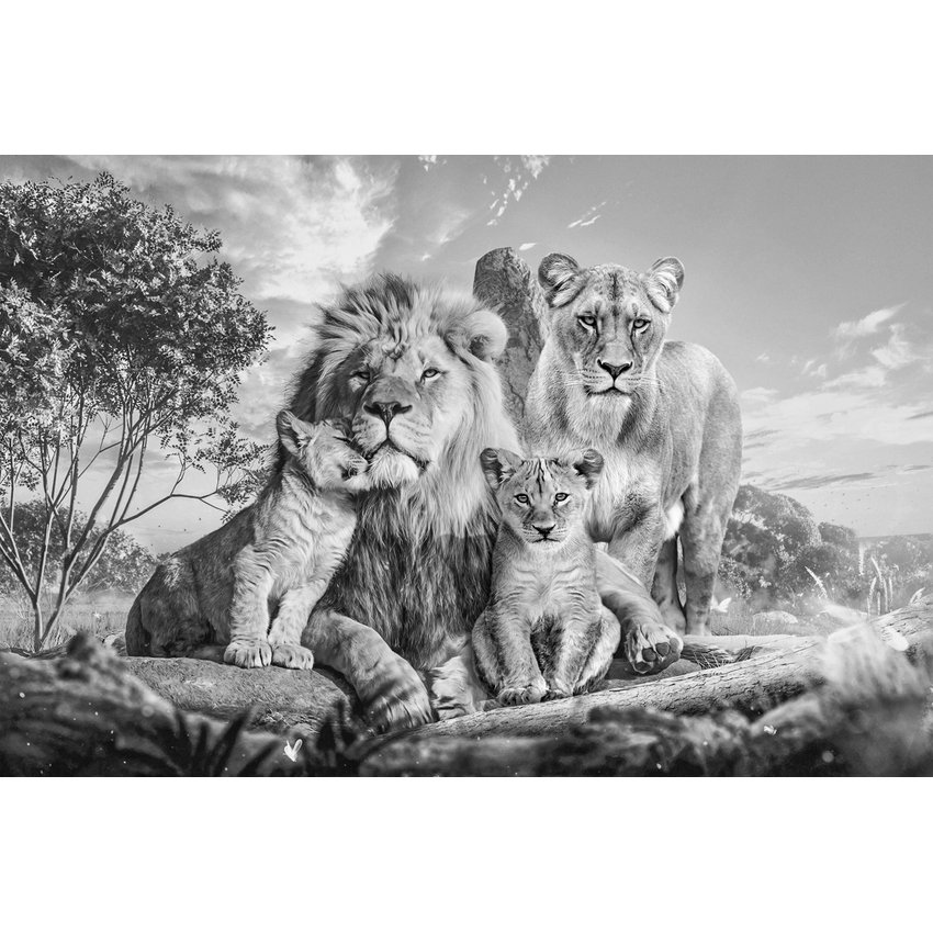 『 Green Leopard fam 』by Zuberi 60*60cm Quadro Decorativo Família de Leões P&B